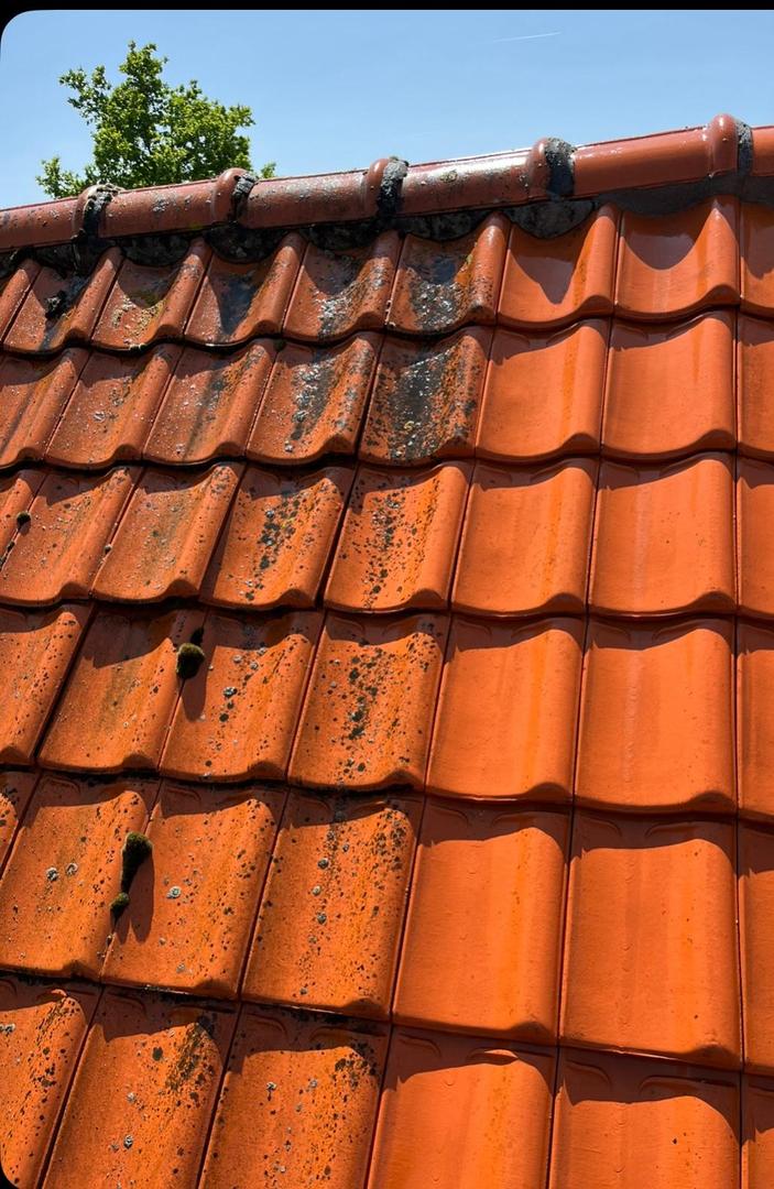 Pannendak, links vol mos en aanslag, rechts weer helder oranje dakpan